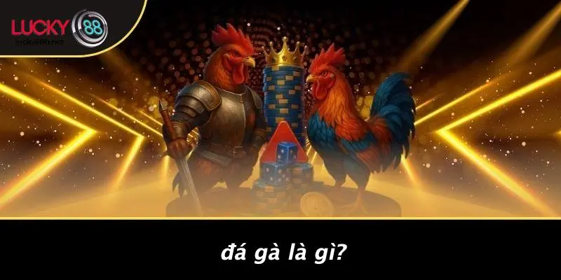 ĐÁ GÀ LUCKY88: TRẢI NGHIỆM CỰC ĐỈNH, HẤP DẪN VÀ CHIẾN THẮNG